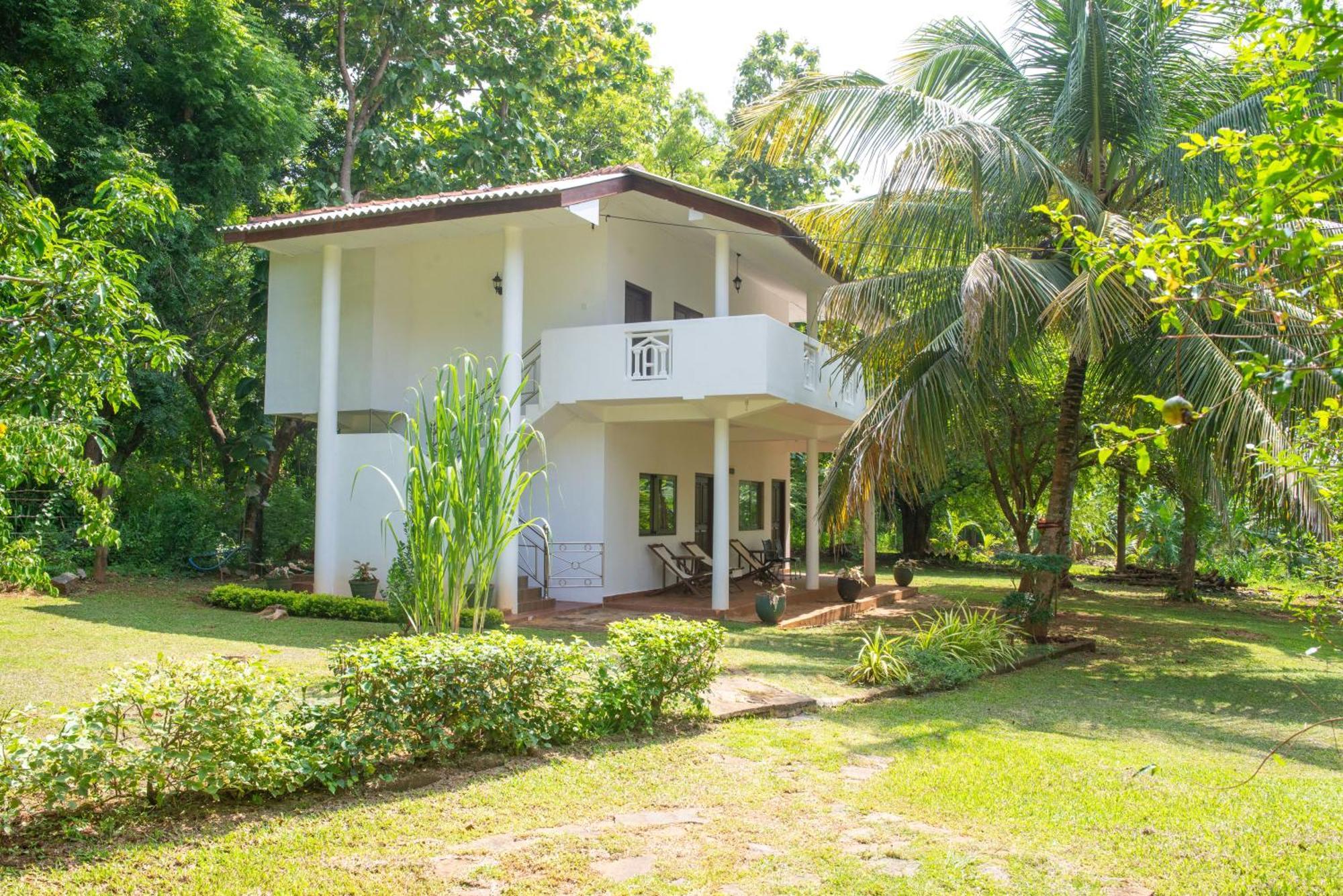 The Jungle Pearl Hotel Udawalawe Exterior foto